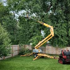 Best Fruit Tree Pruning  in Fort Clark Springs, TX